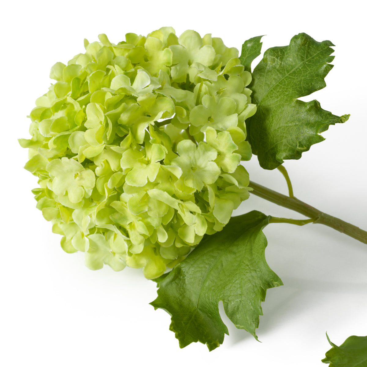Hydrangeas Snowball Real Touch Bouquet – 36 Pieces