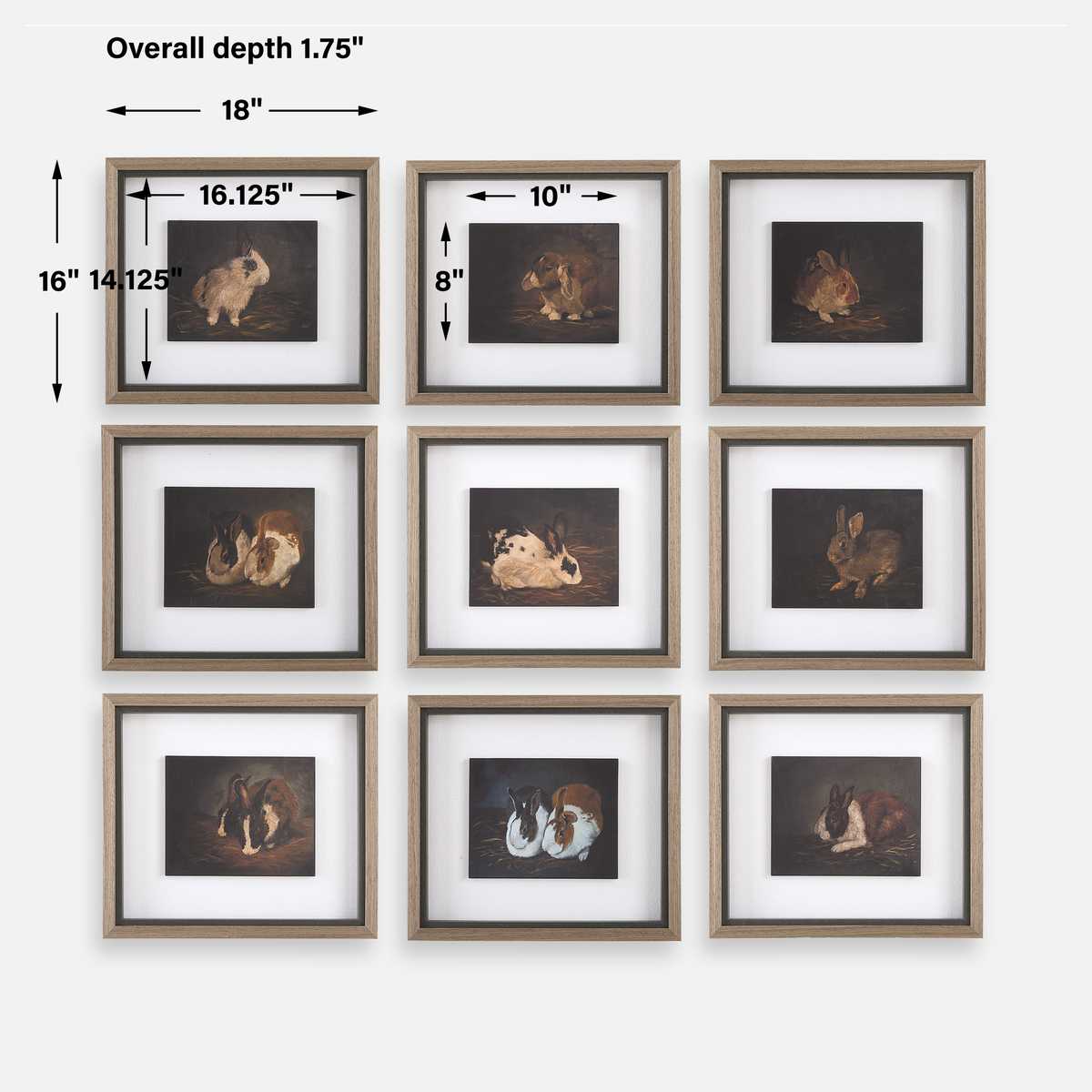 Resting Bunny Framed Prints – Set of 9