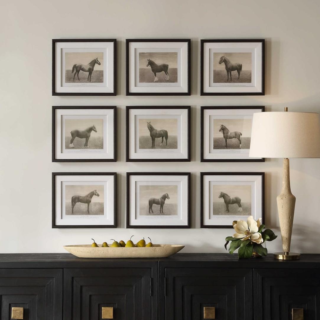 Equine Dynasty Framed Prints – Set of 9