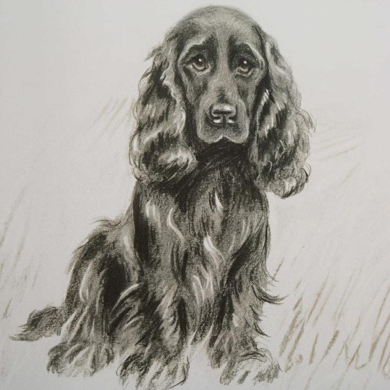 Loyal Companion Framed Dog Prints, Set of 9