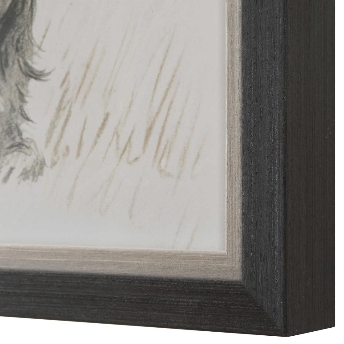 Loyal Companion Framed Dog Prints, Set of 9