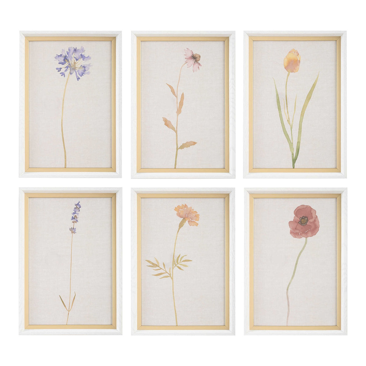 Wild Flourish Framed Prints – Set of 6