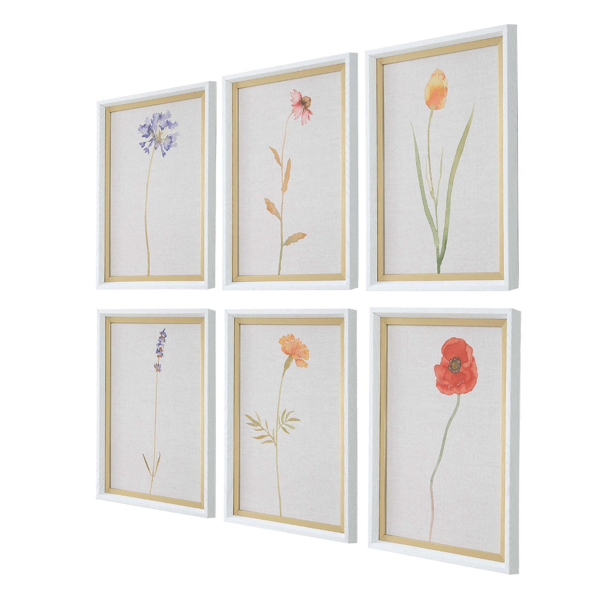 Wild Flourish Framed Prints – Set of 6