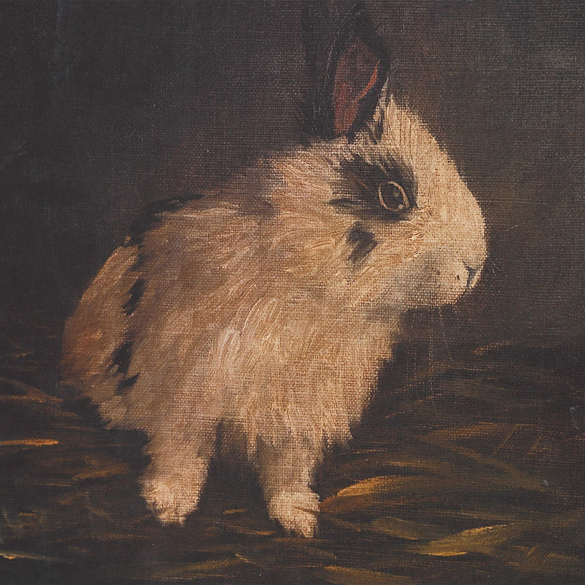Resting Bunny Framed Prints – Set of 9