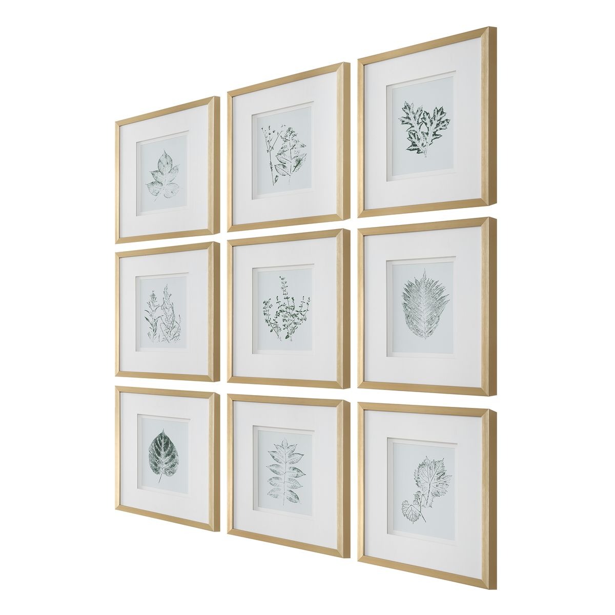 Nature's Script Framed Botanical Prints – Set of 9