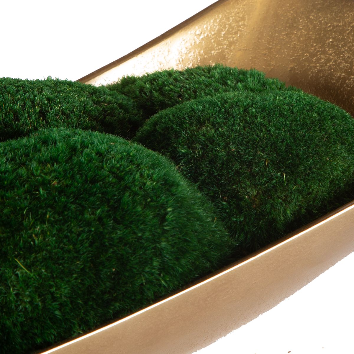 Venice Moss Centrepiece