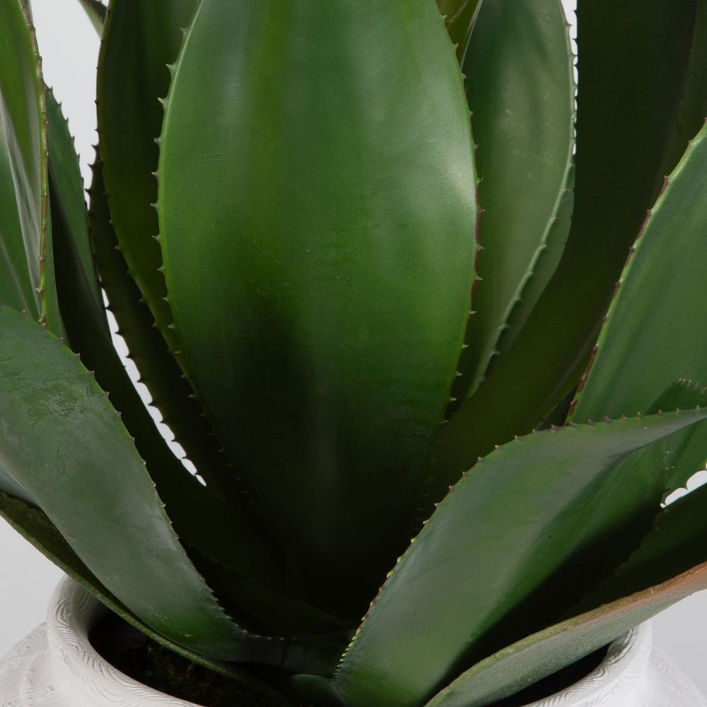 Tierra Agave Centrepiece