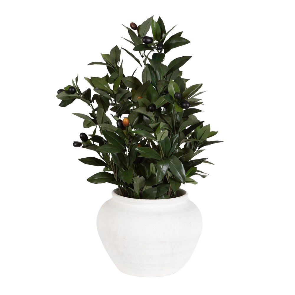 Elena Olive Centrepiece
