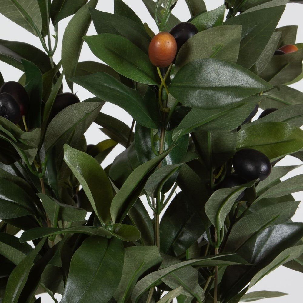 Elena Olive Centrepiece