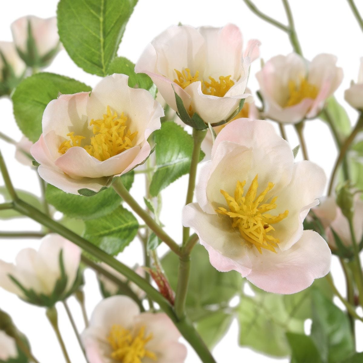 Tranquility Lenten Rose Bouquets – Set of 2