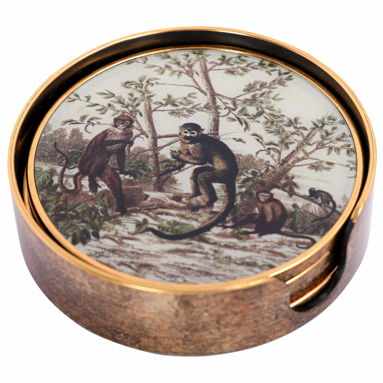 Monkey Jungle Set Coasters