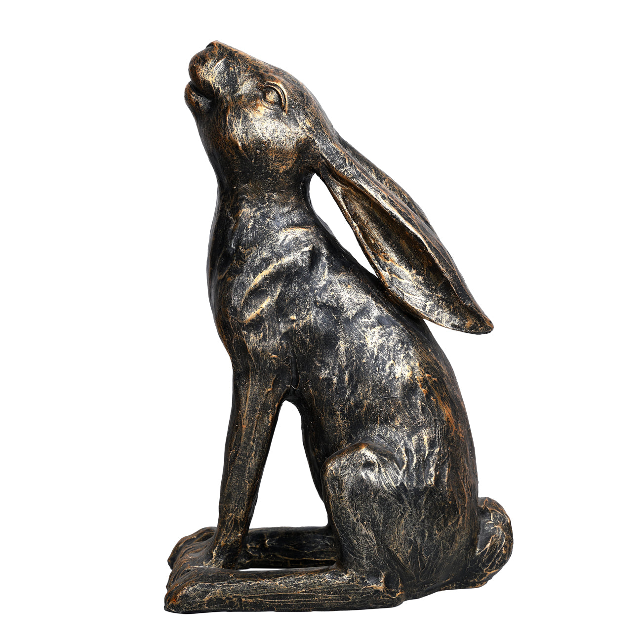 Harry Stargazing Hare