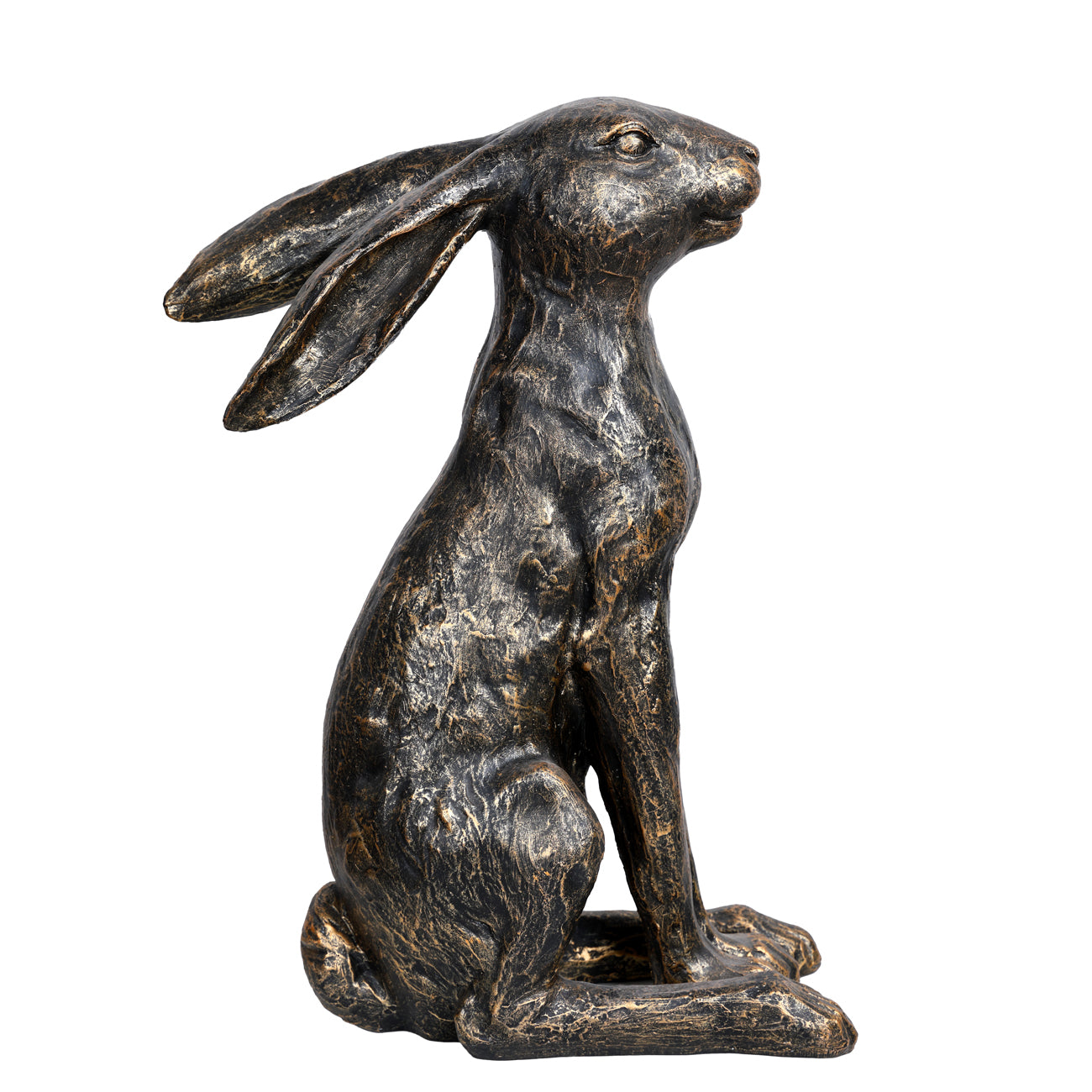 Henry Sitting Hare
