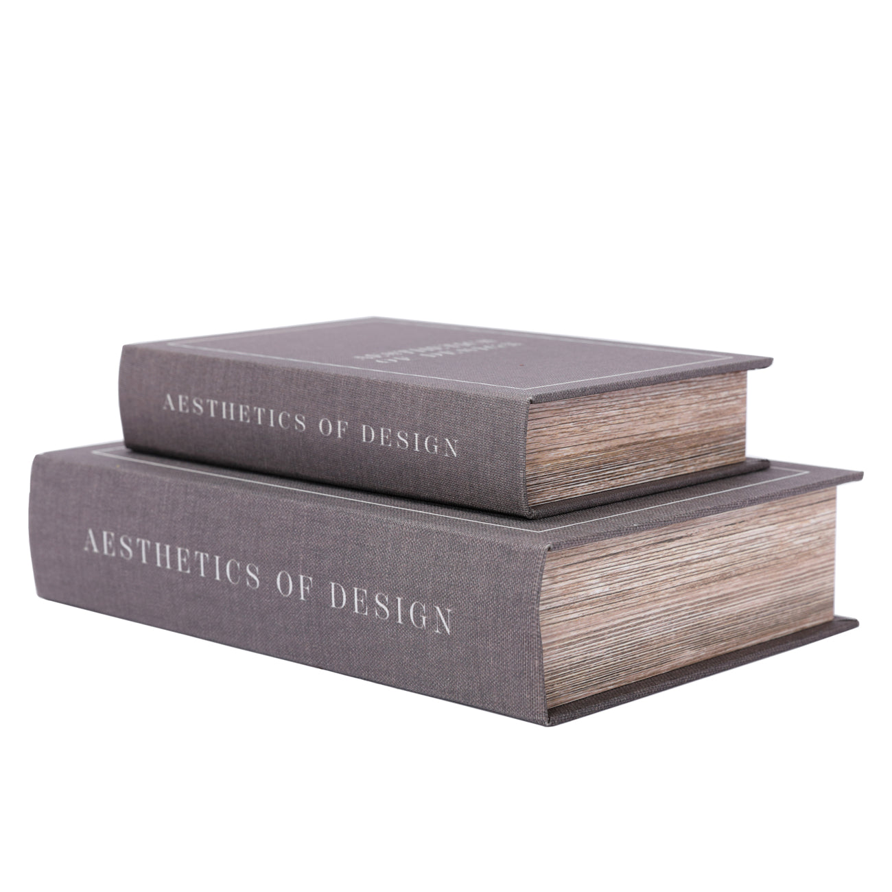 Aesthetics of Design Set of 2 Book Boxes