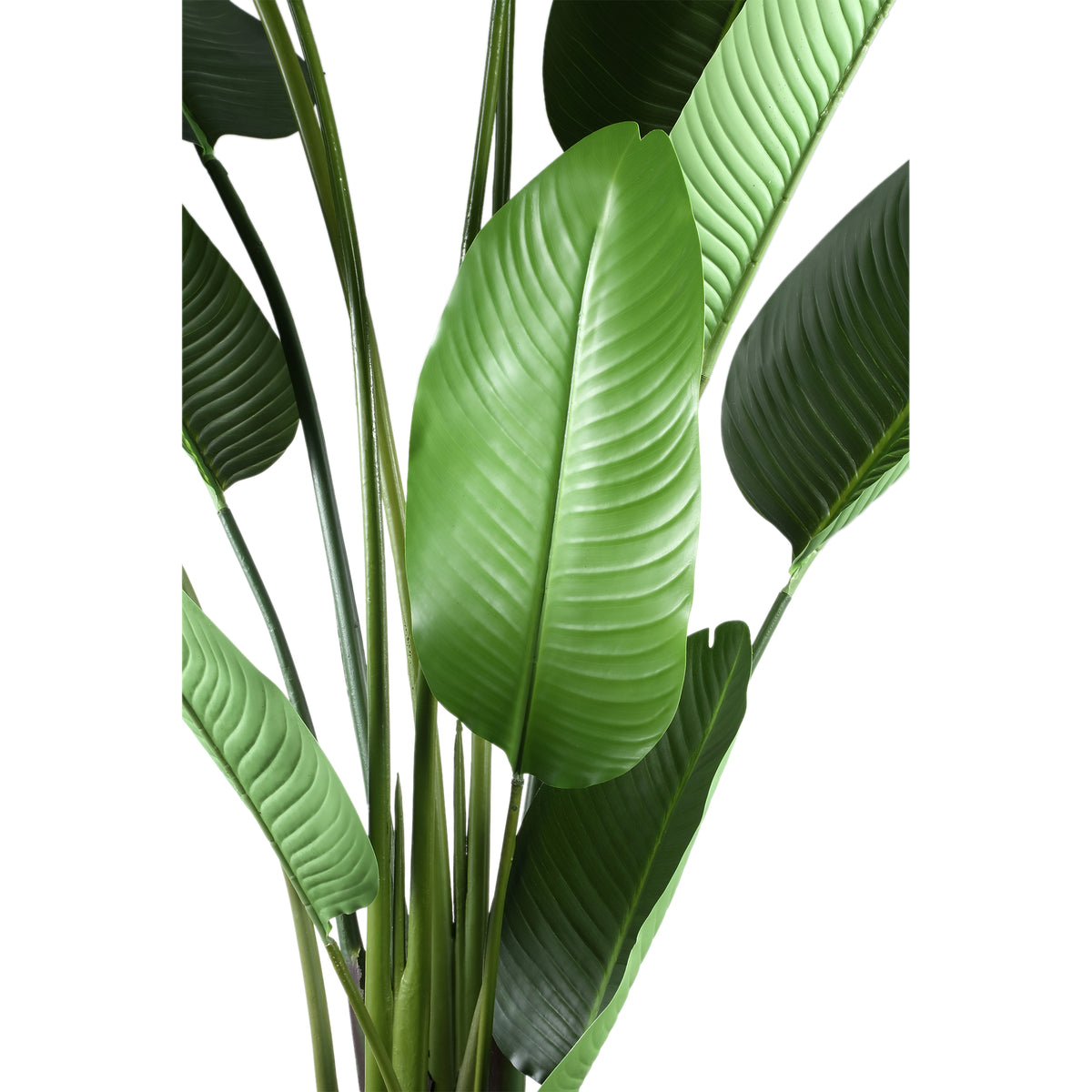 Leaves green powder-coated iron faux plant