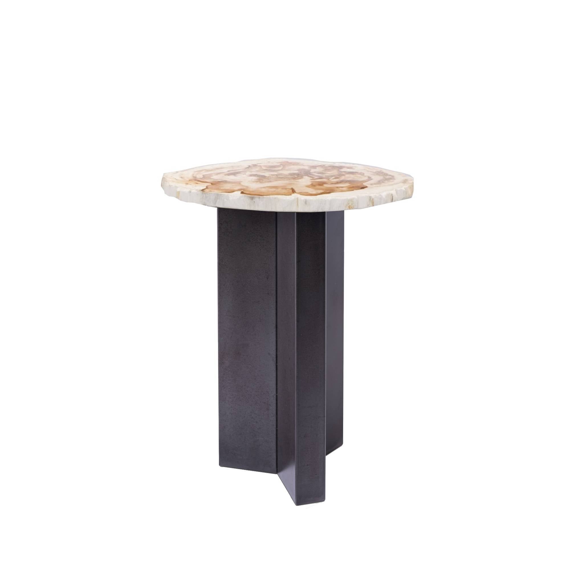 Jisse natural petrified wood side table with twist base