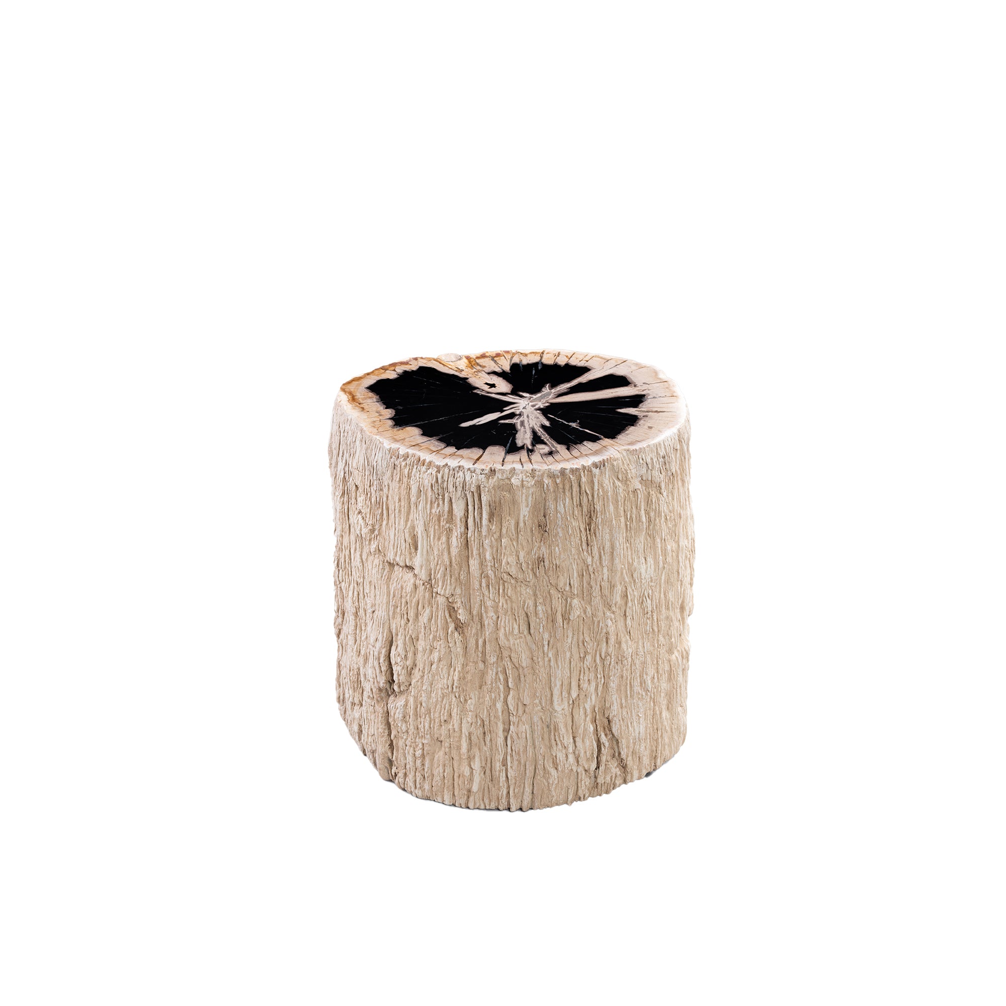 Taly petrified wood round stool