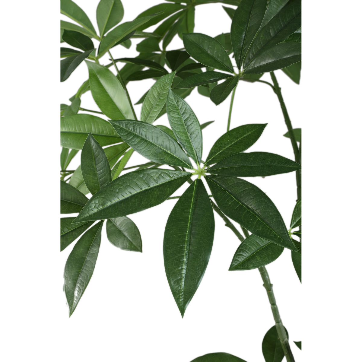 Faux pachira plant in weighted pot