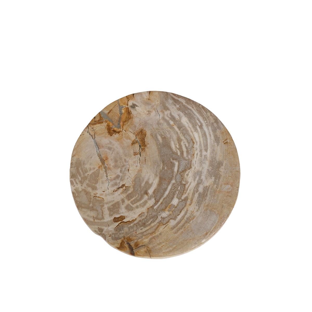 Bethe natural petrified wood effect half-ball display, small