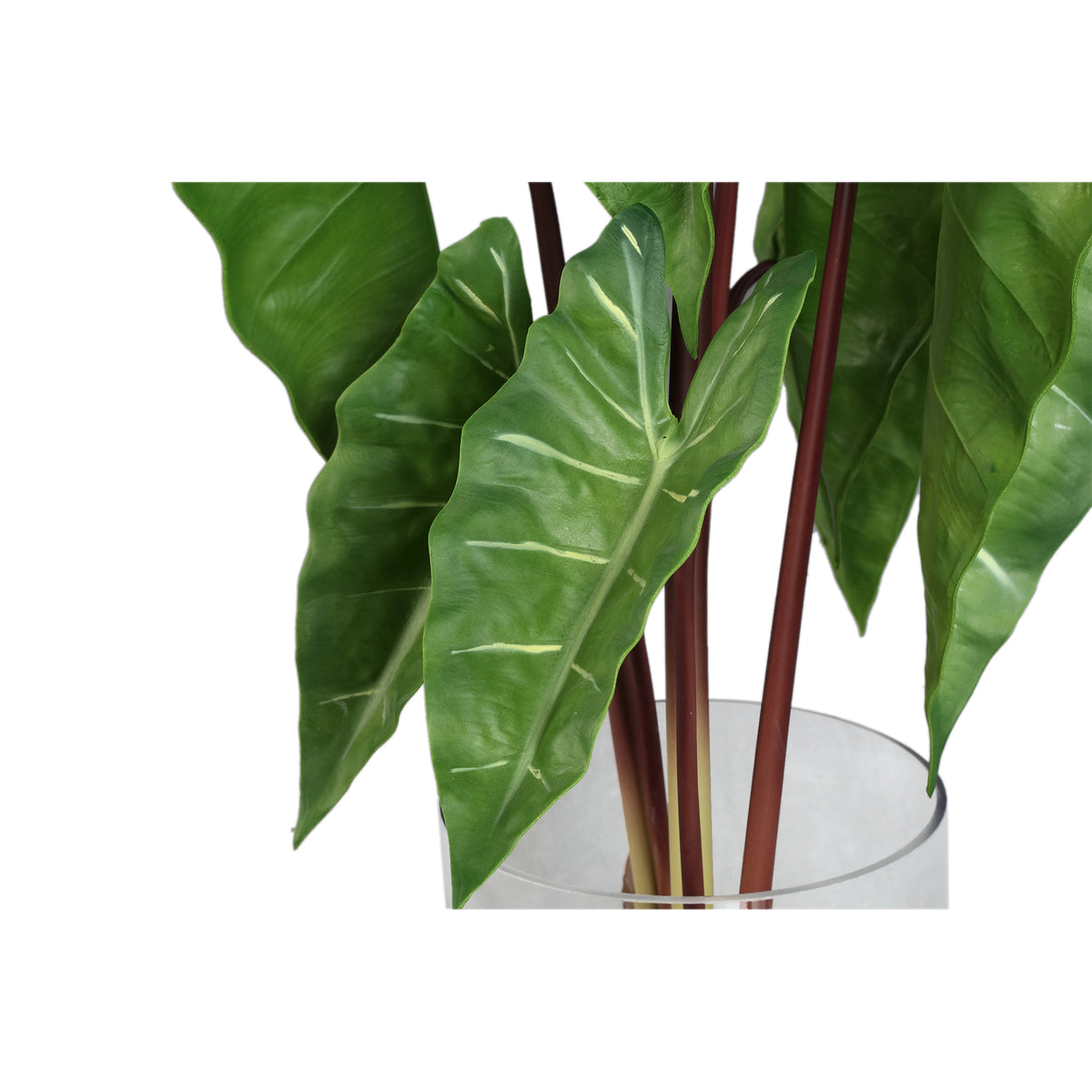 Leaves faux green plant in a glass vase