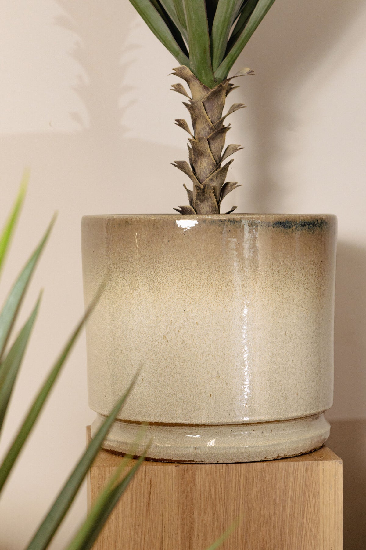 Madsen beige ceramic planter, low