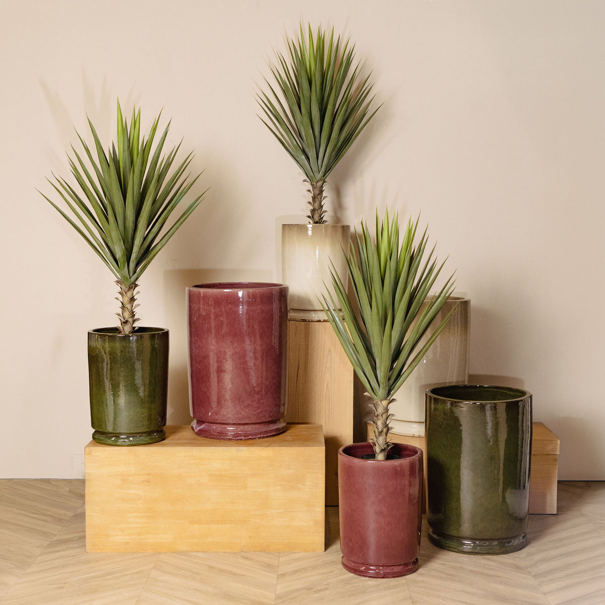 Madsen bordeaux ceramic planter, high