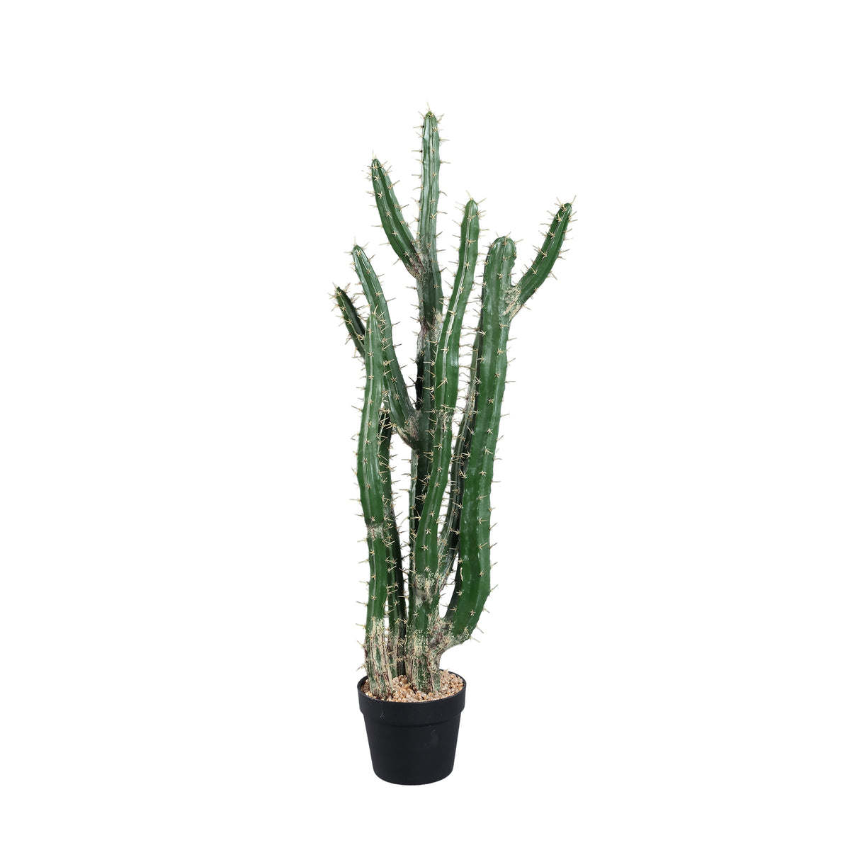 Green faux Peruvian cactus in black pot, medium
