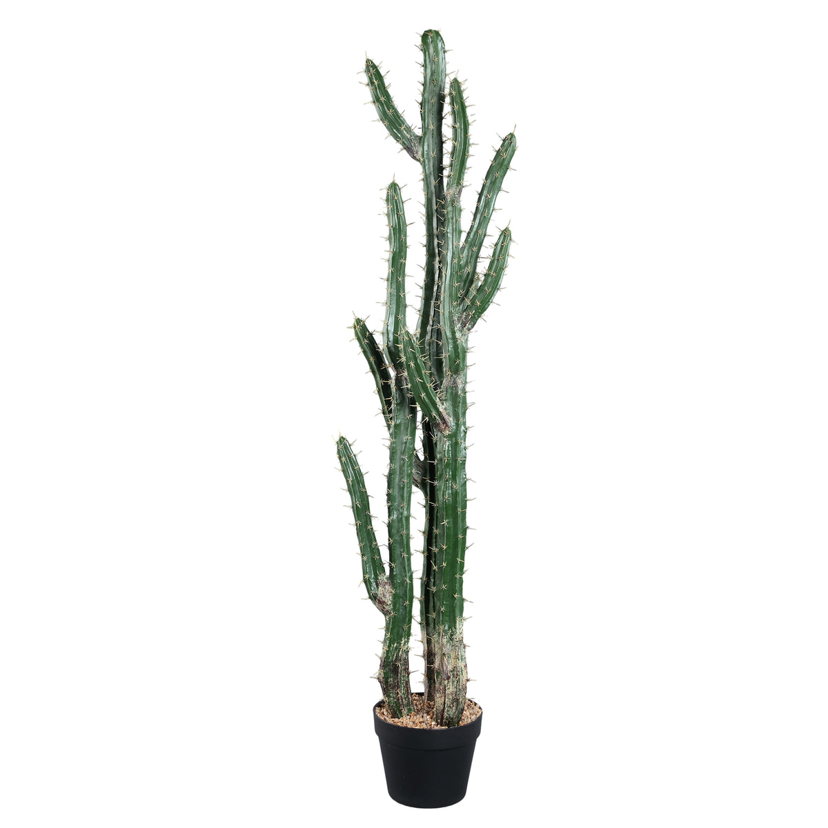 Green faux Peruvian cactus in black pot, large
