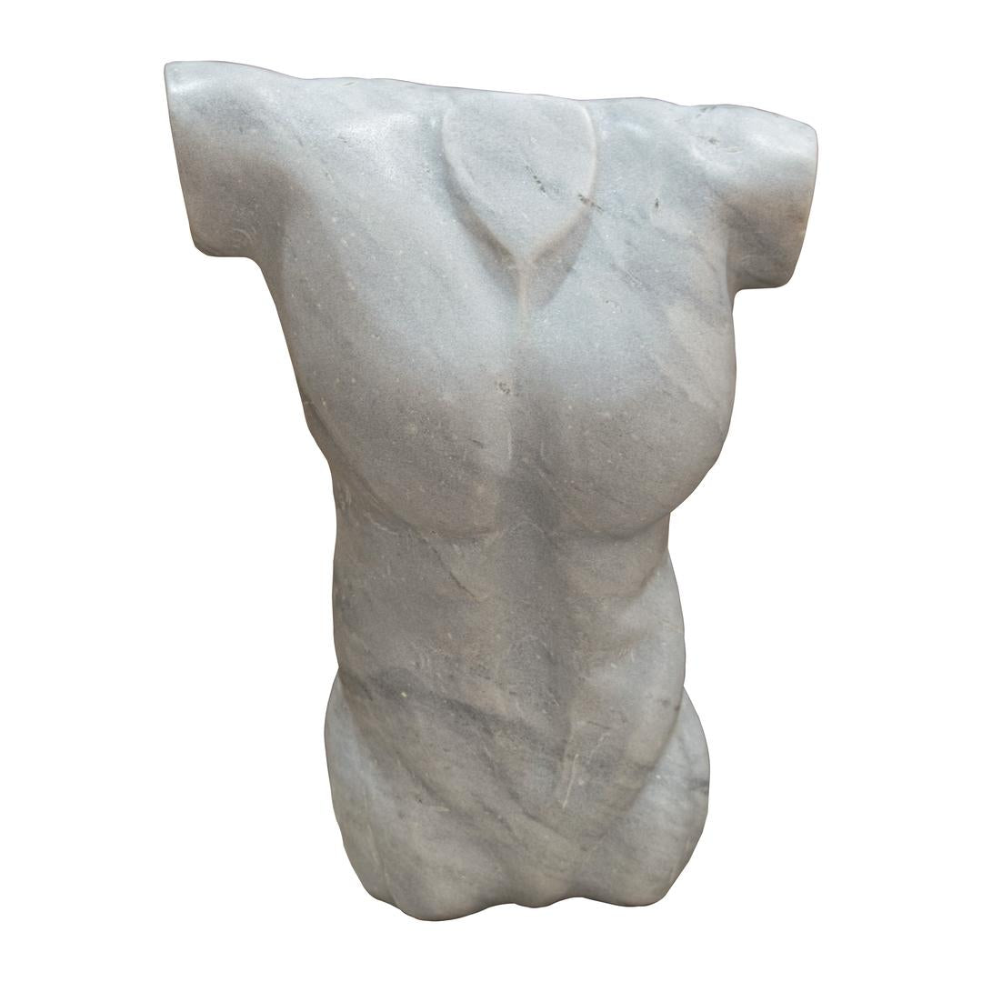 Angelis W23 Torso