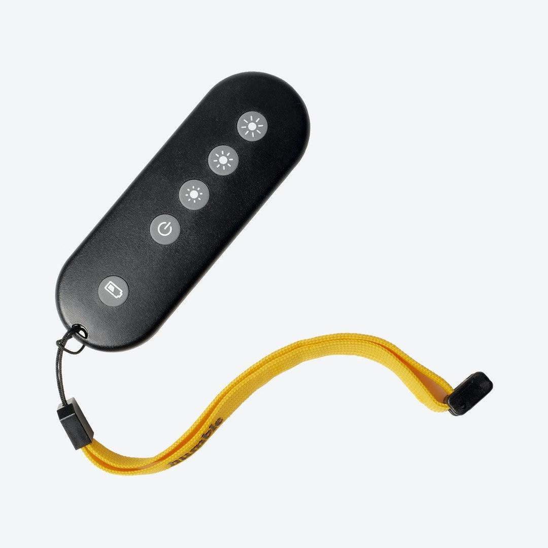 Remote Control - Humble Lights