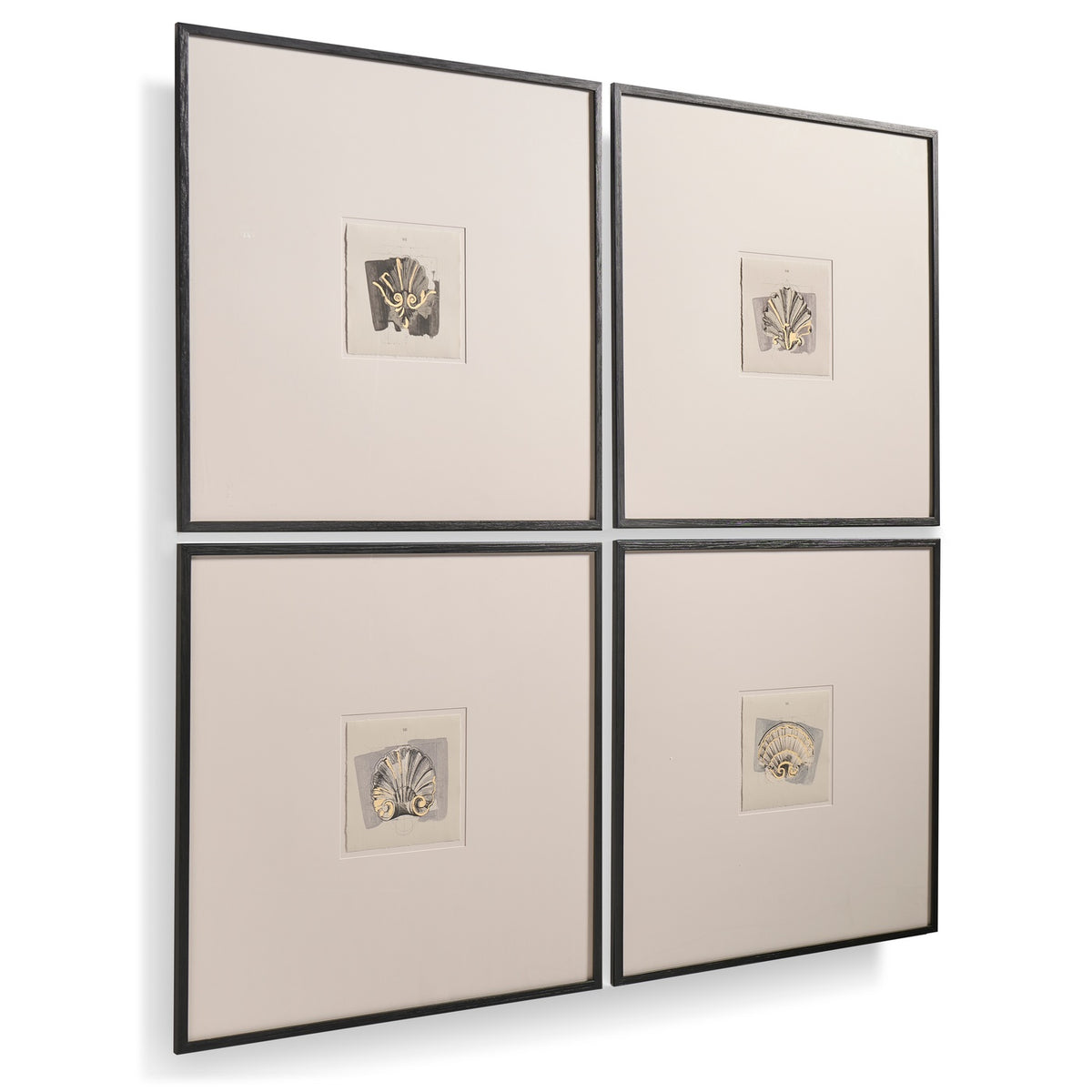 Architectural Clamshells Framed Prints – Set of 4