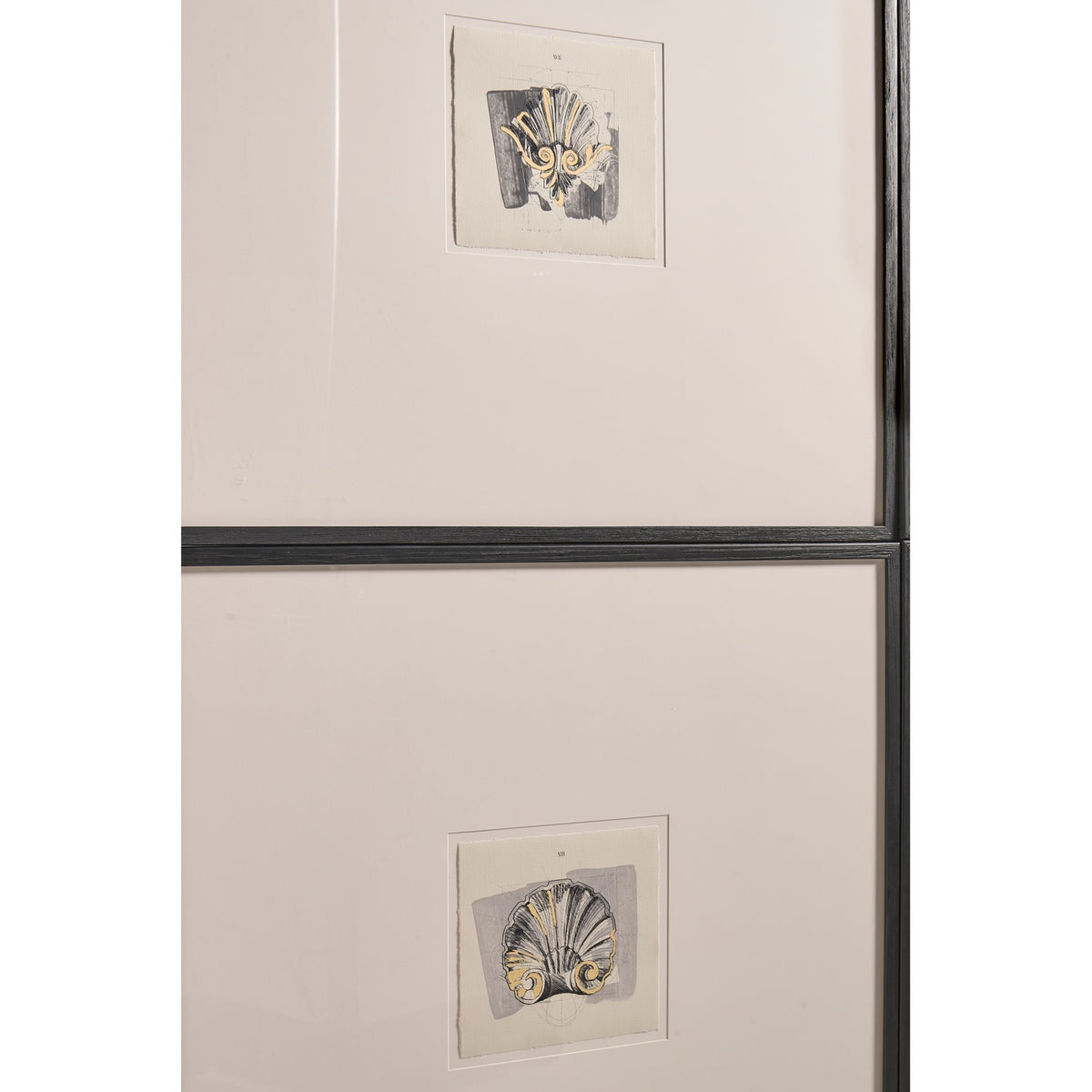 Architectural Clamshells Framed Prints – Set of 4