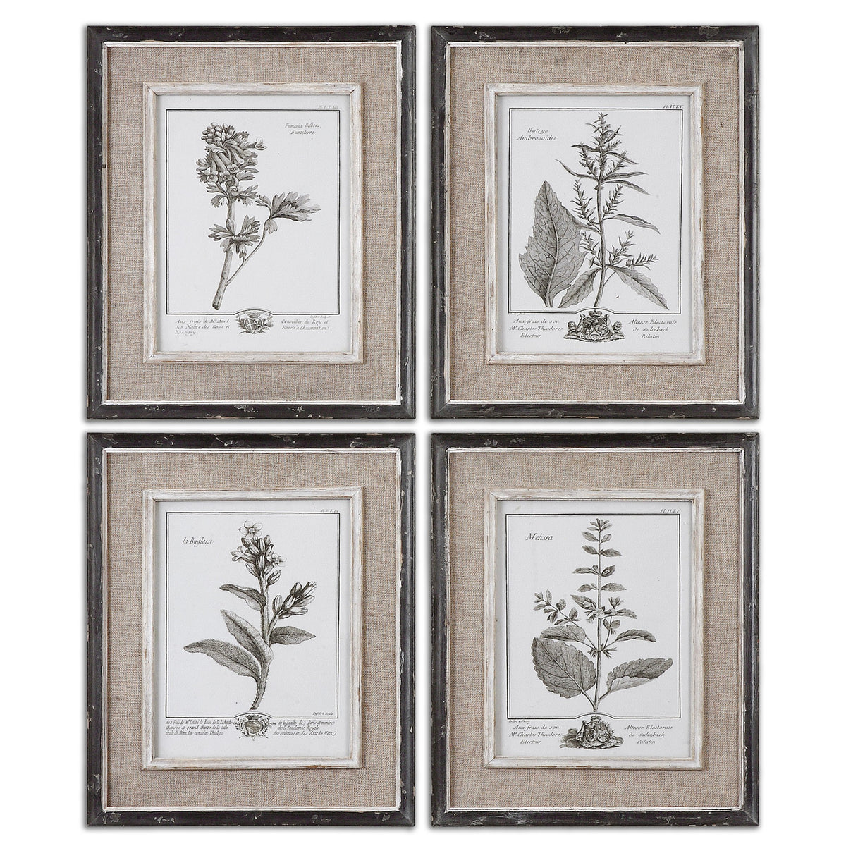 Casual Grey Study Framed Art – Set of 4