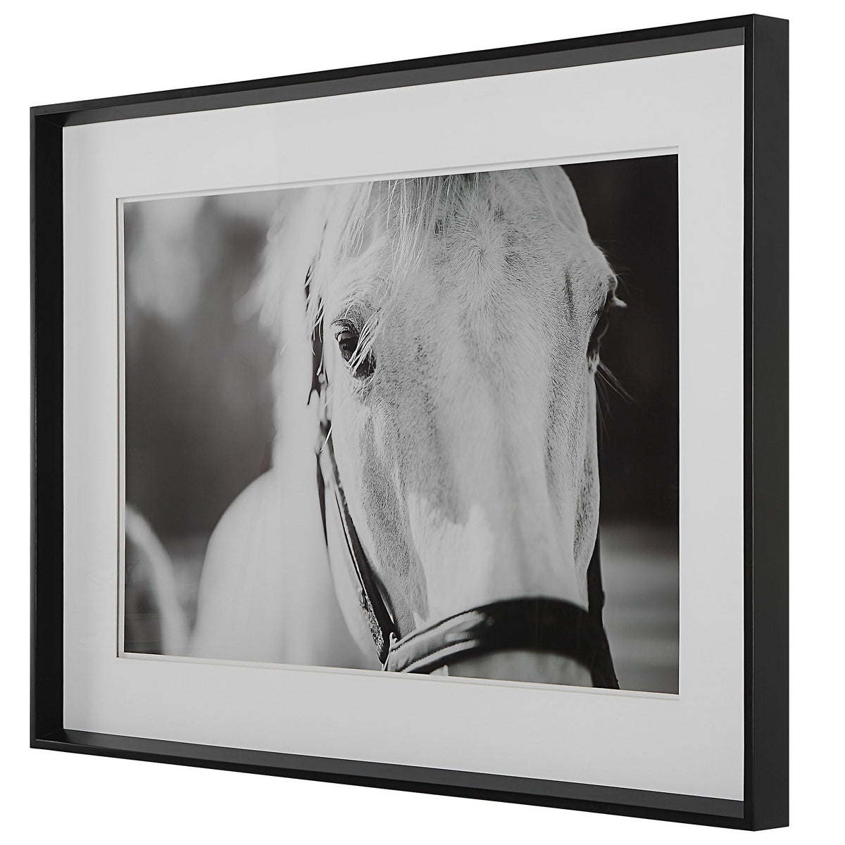 Eyes on the Prize Framed Print