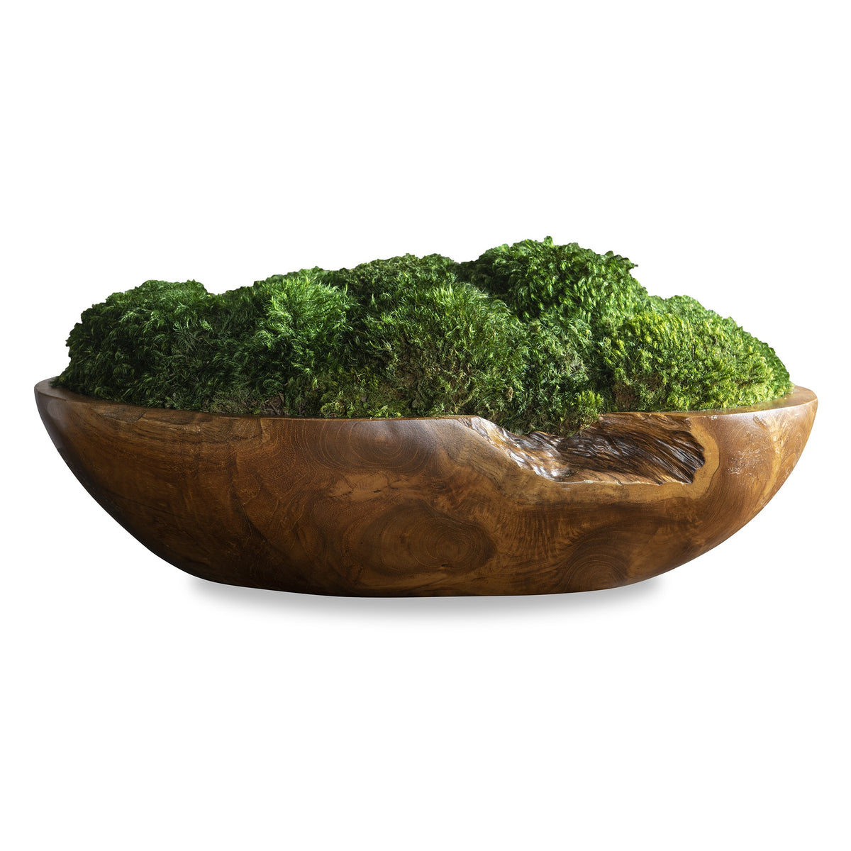 Kinsale Moss Centrepiece