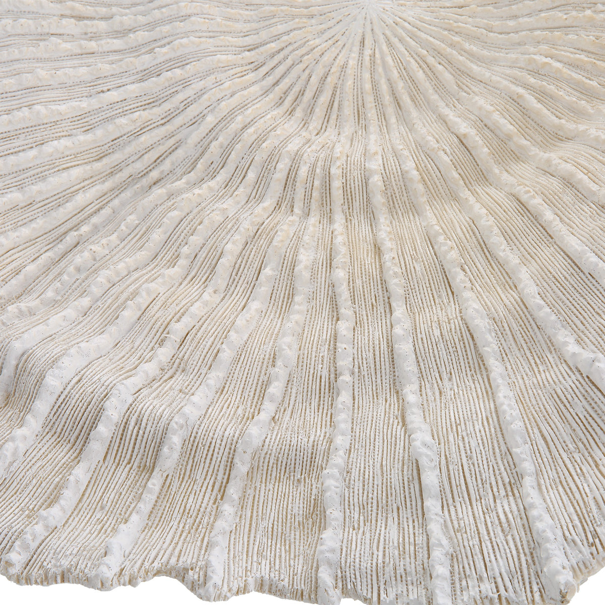 Ocean Gems Coral Wall Decor – Set of 3