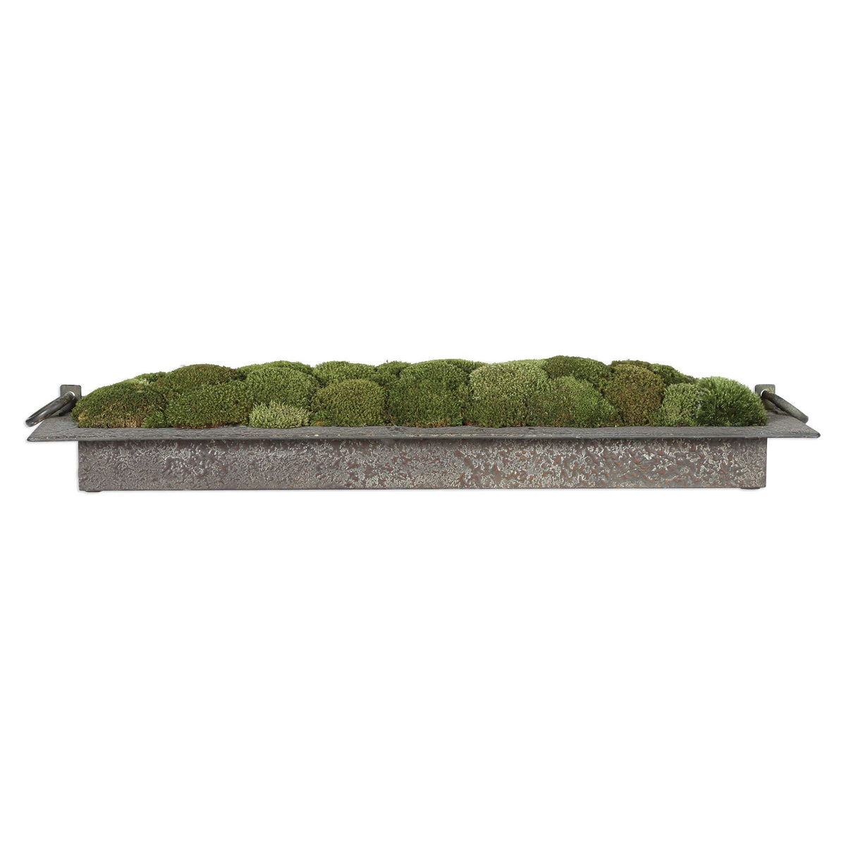 Heath Preserved Moss Tray