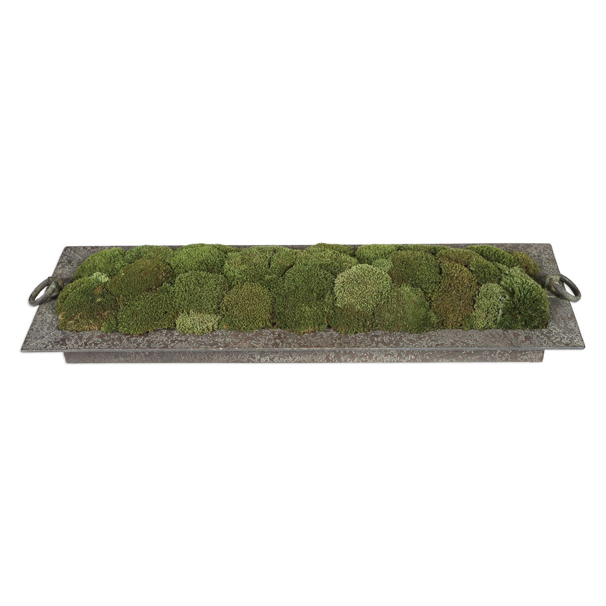 Heath Preserved Moss Tray