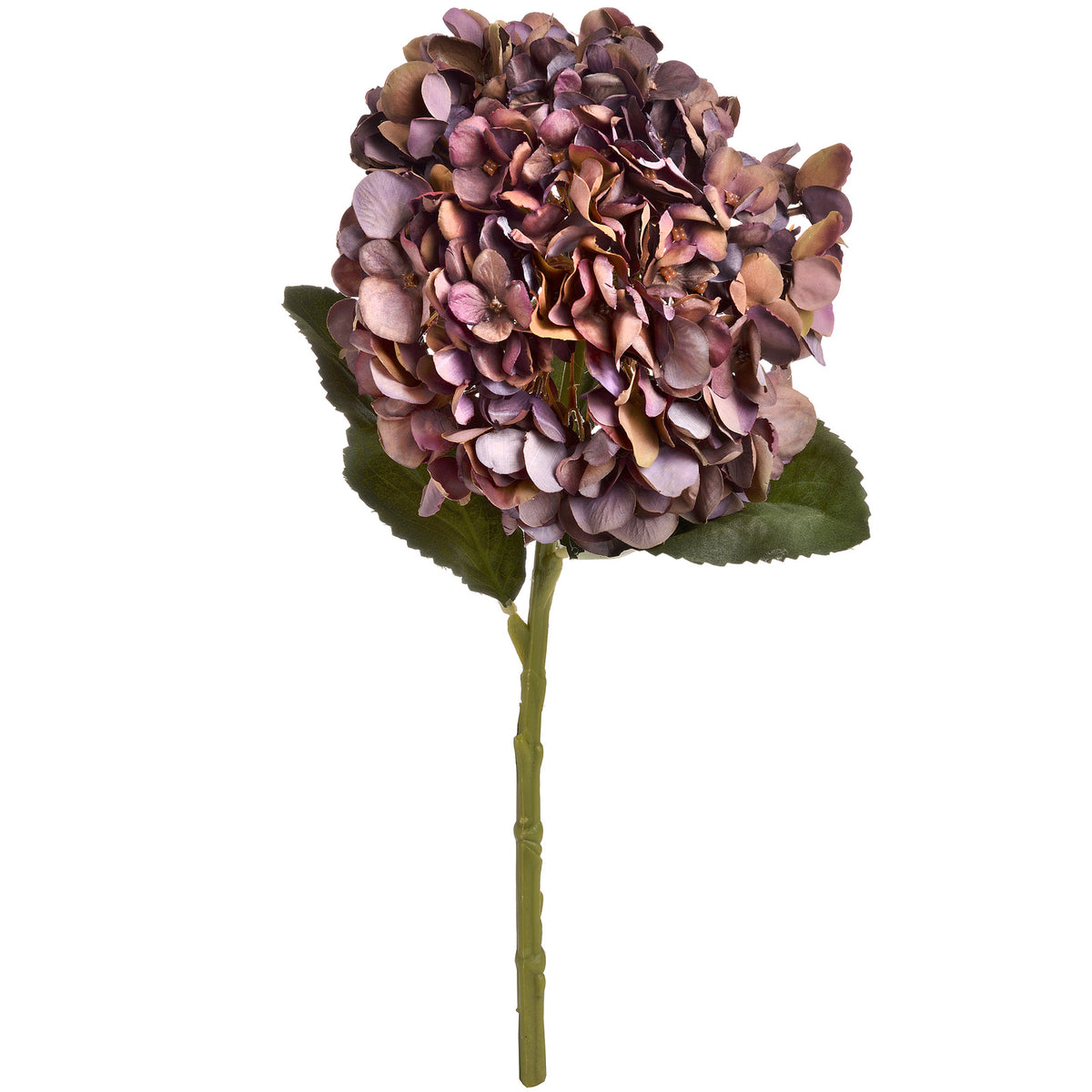 Hill Interiors Autumn Coffee Hydrangea