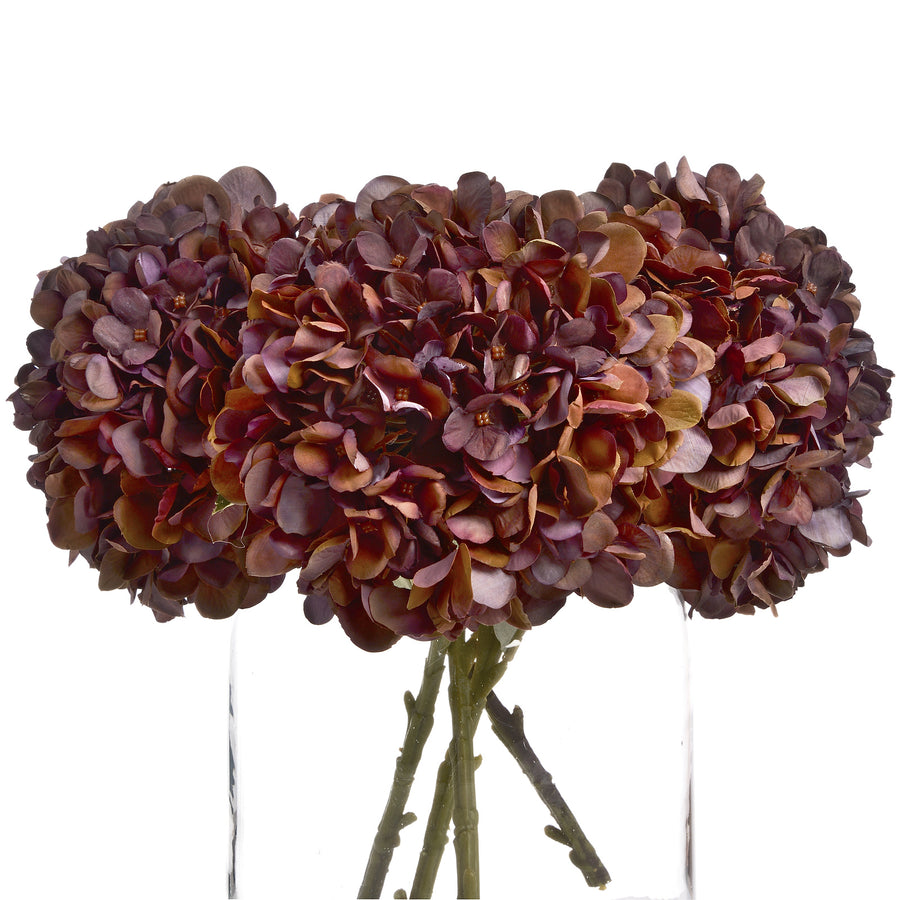 Hill Interiors Autumn Coffee Hydrangea
