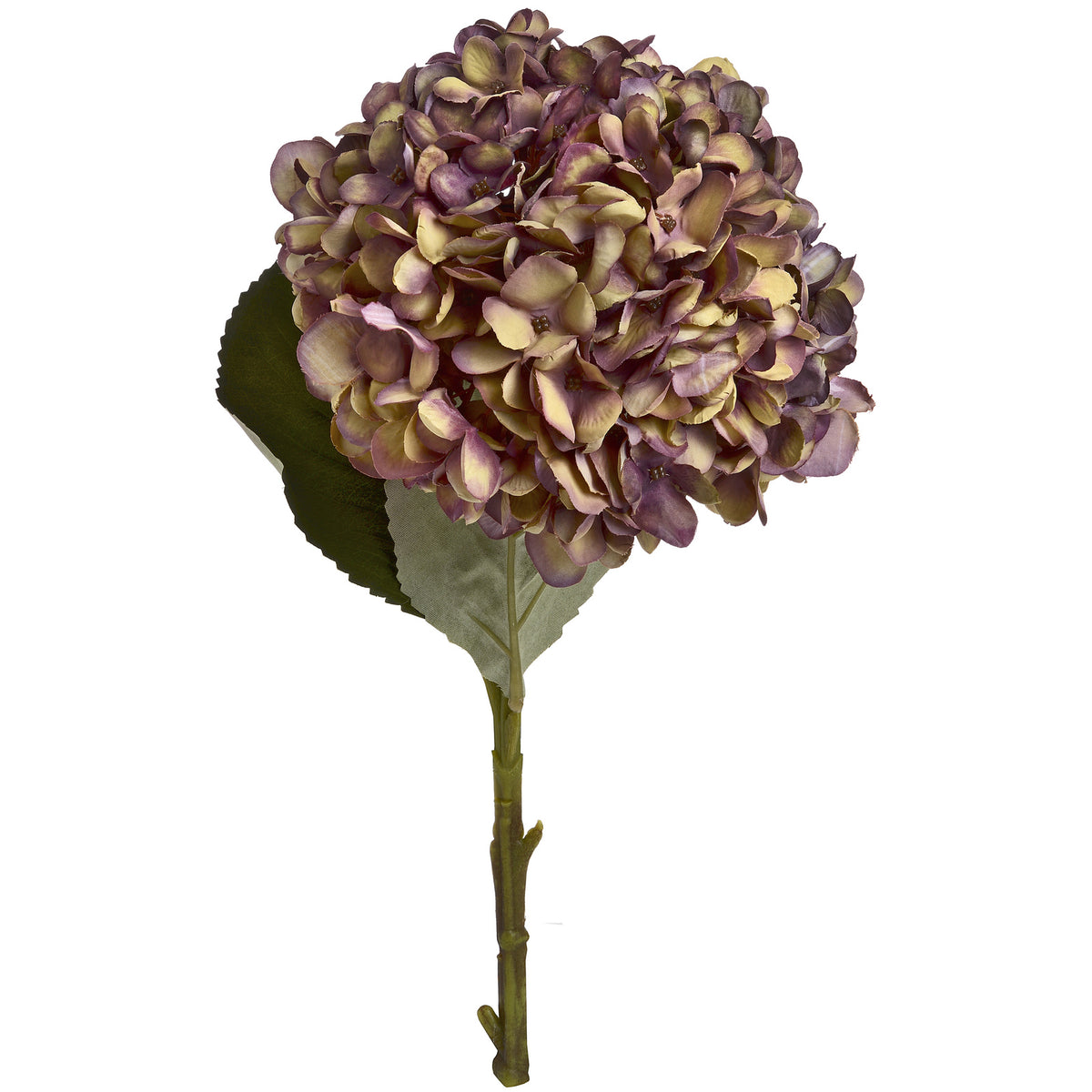 Hill Interiors Autumn Burgundy Hydrangea