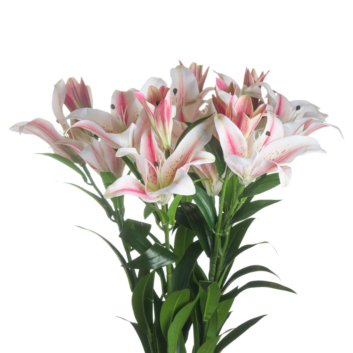 Hill Interiors Stargazer Lily