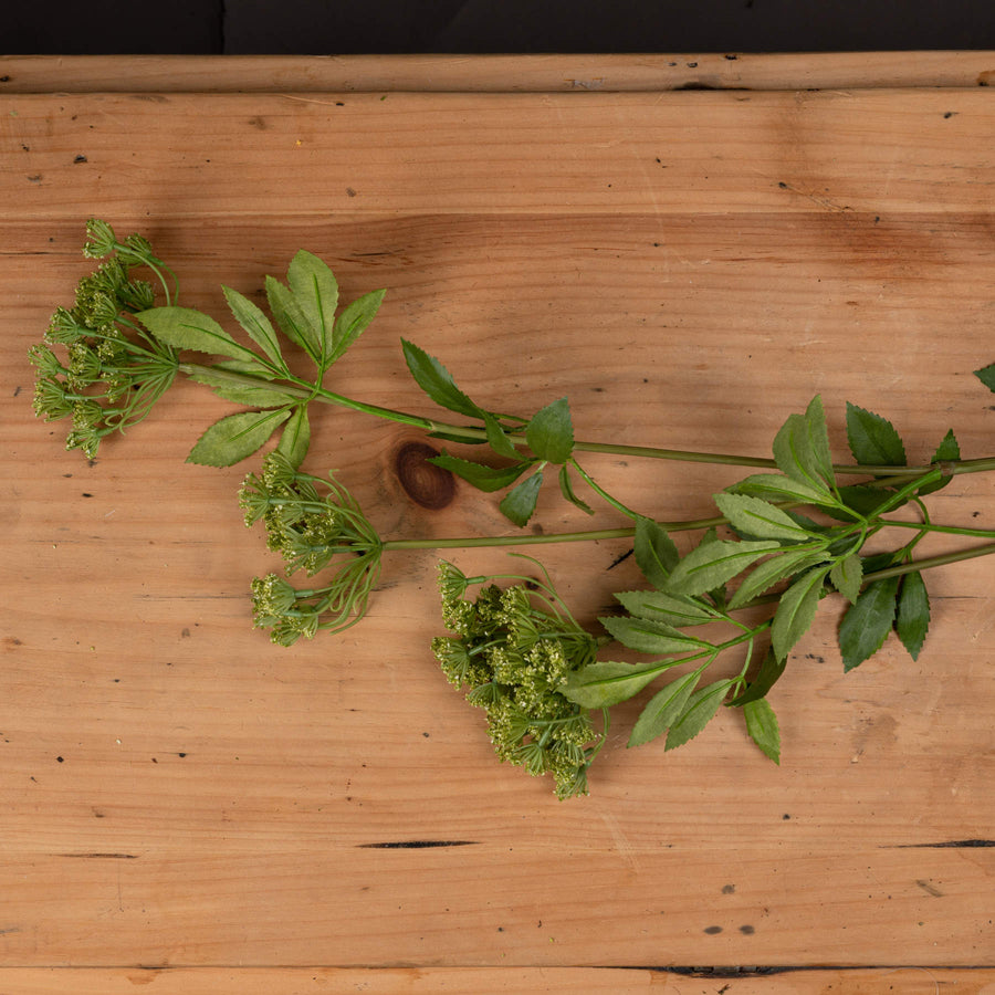 Hill Interiors Faux Cow Parsley Ammi