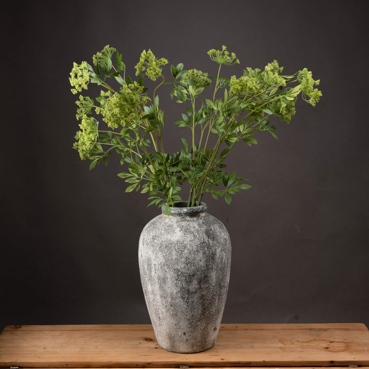 Hill Interiors Faux Cow Parsley Ammi