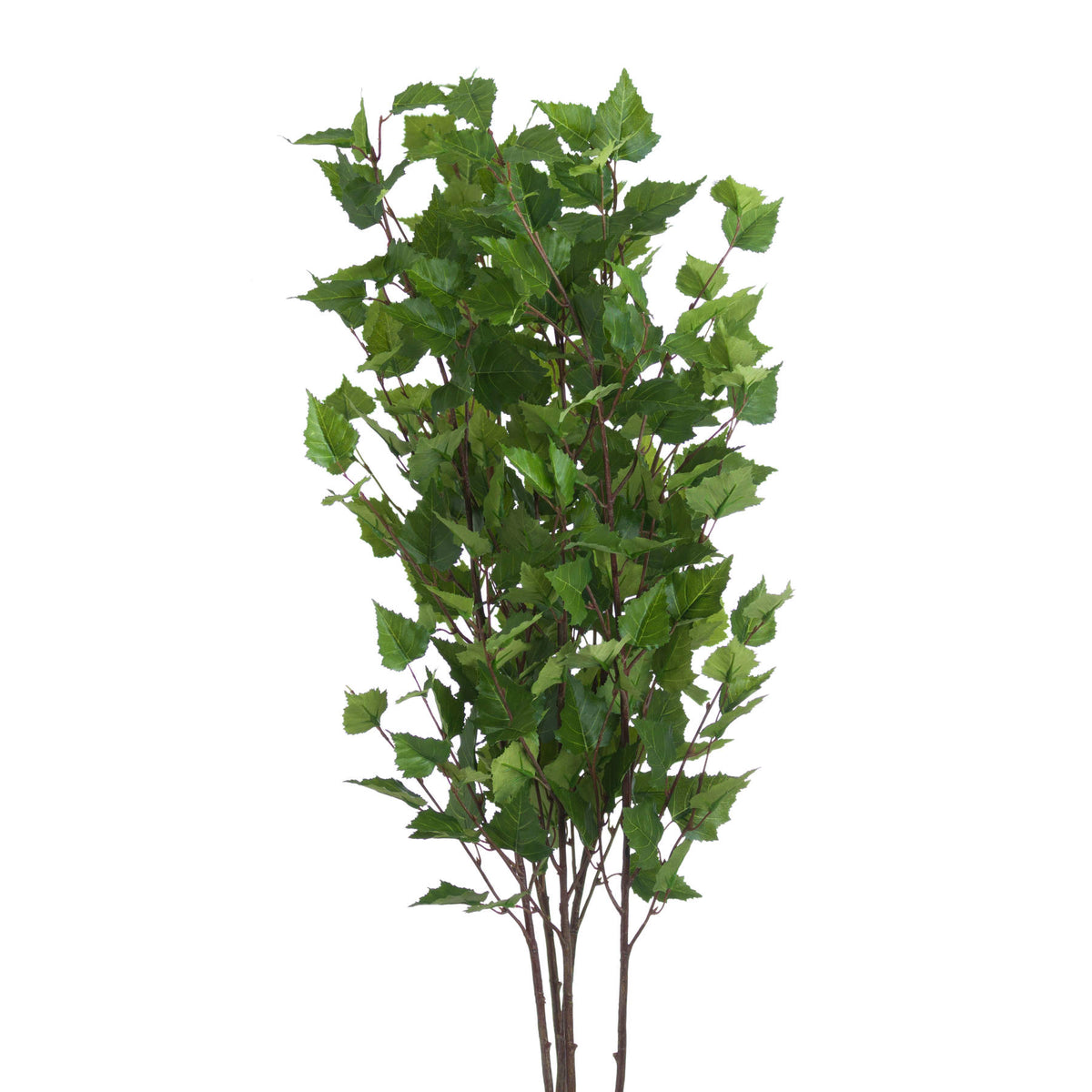 Hill Interiors Green Branch Spray