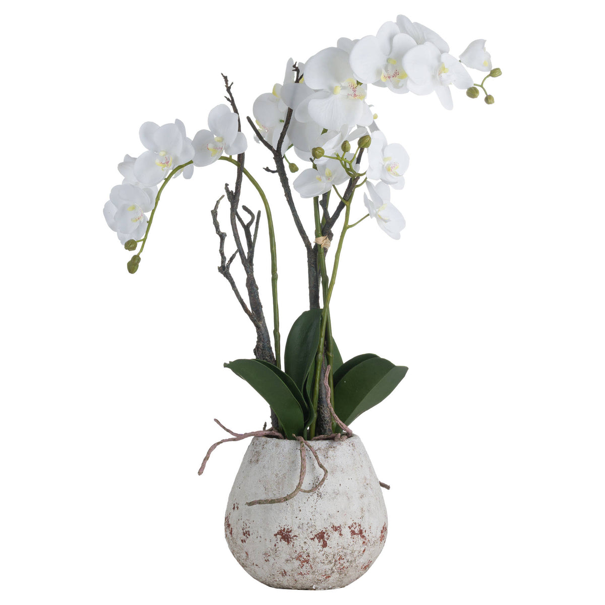 Hill Interiors White Orchid In Stone Pot