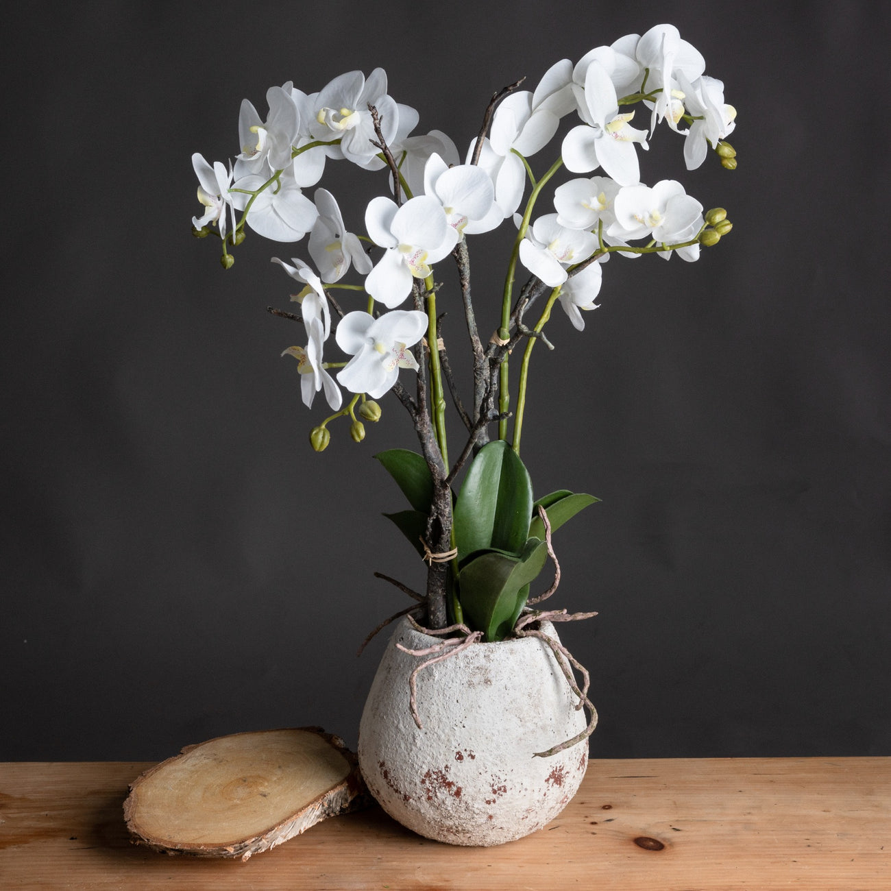Hill Interiors White Orchid In Stone Pot