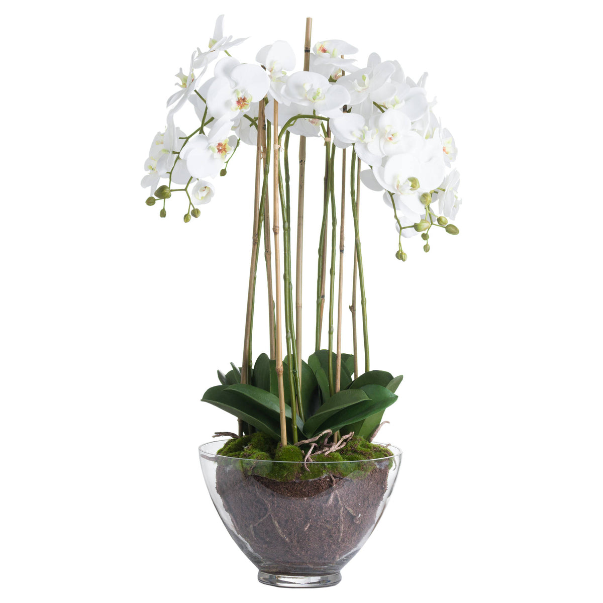 Hill Interiors Large White Orchid In Glass Pot