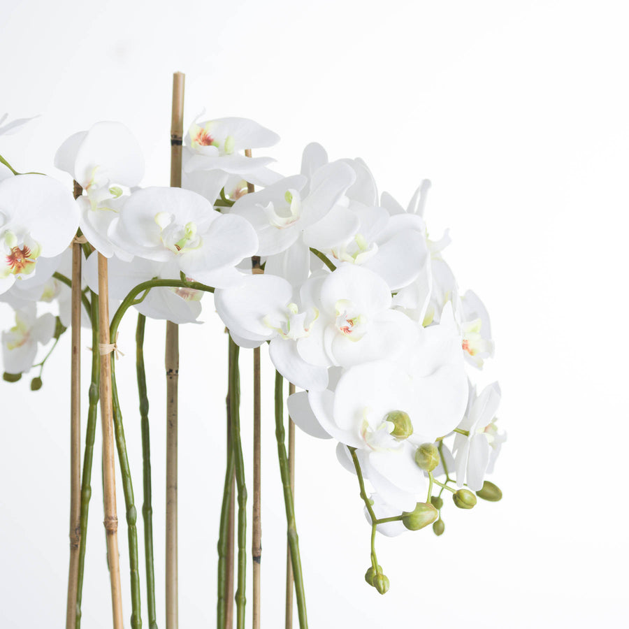 Hill Interiors Large White Orchid In Glass Pot