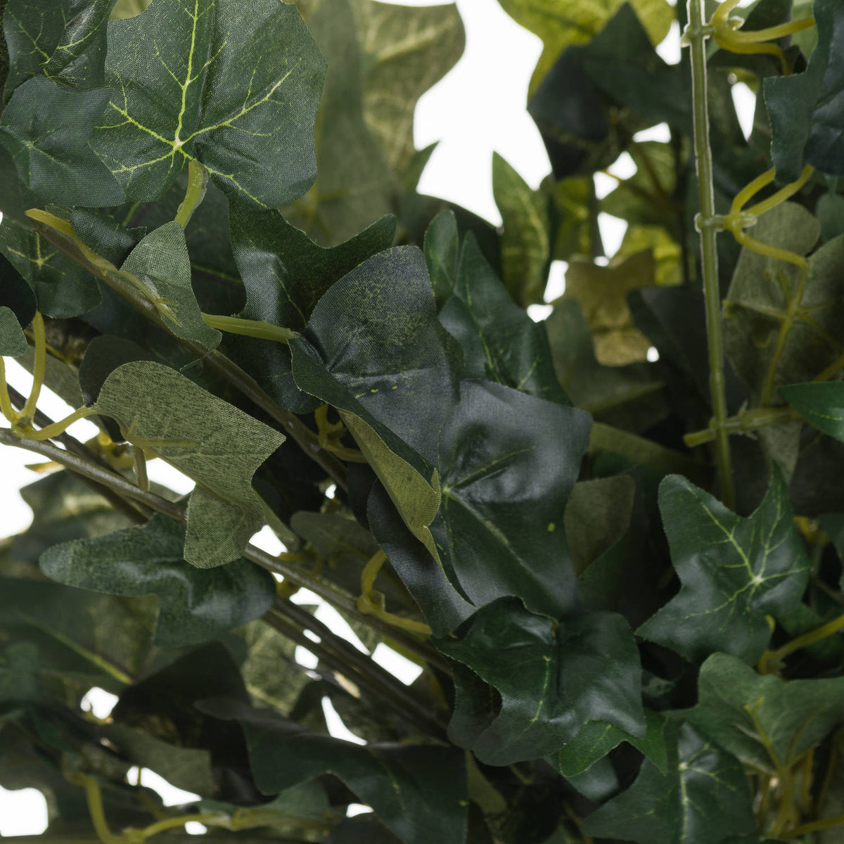Hill Interiors Ivy Pick